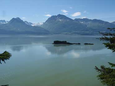 Valdez Arm from Dock Point Trail